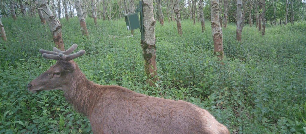 Growing Connections: Our Viper Woods Project Unites Staff, Schools, Locals, and Nature